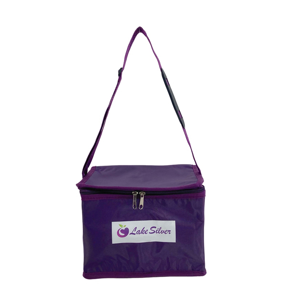 Insulated Wine Cooler Bag